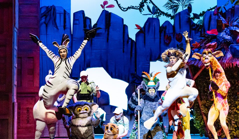 Have A Roaring Good Time At Madagascar The Musical