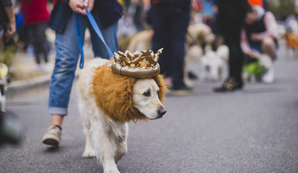 The Adorable Howl-O-Ween Paw Parade Is Coming Back To Port Melbourne