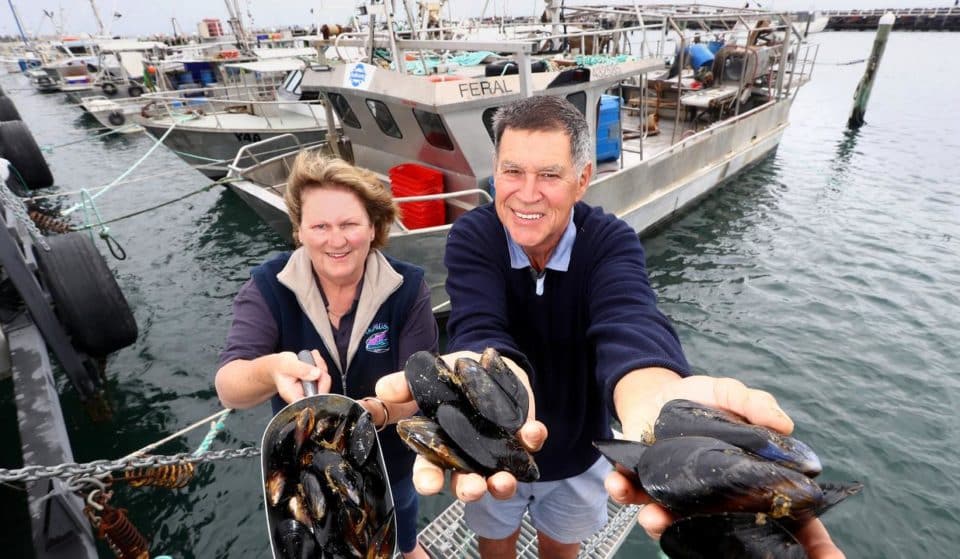 The Popular Portarlington Mussel Festival Is Returning This January