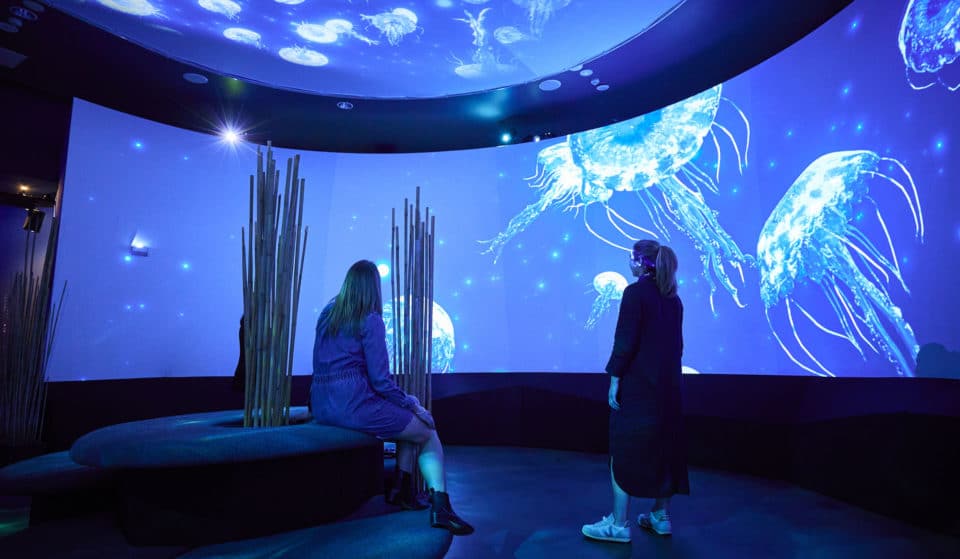 Swim Over To SEA LIFE Melbourne Aquarium For An Immersive New Digital Experience