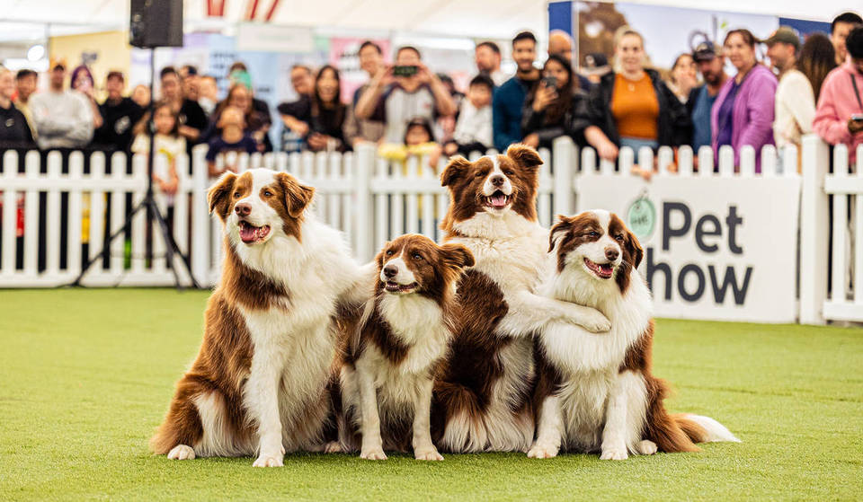 The Pet Show Is Pouncing Back To Melbourne Showgrounds