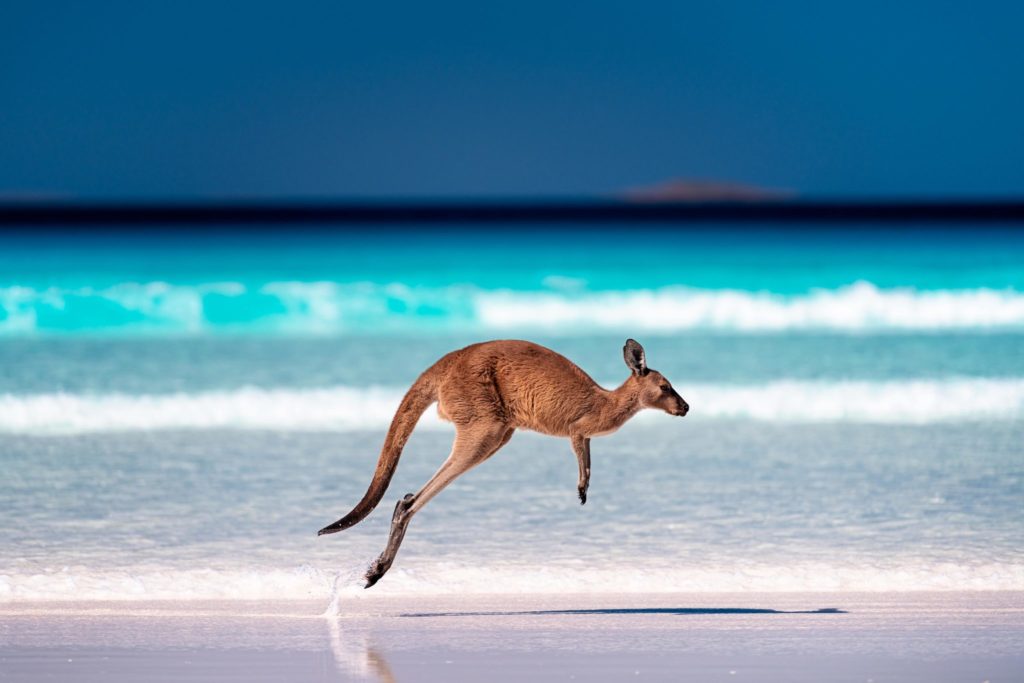 Australia Has Been Ranked As One Of The Happiest Countries In The World