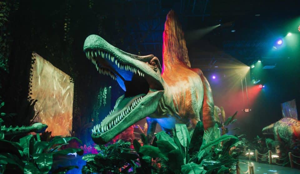 A Roarsome Immersive Dinosaur Experience Will Be Stomping Into Melbourne