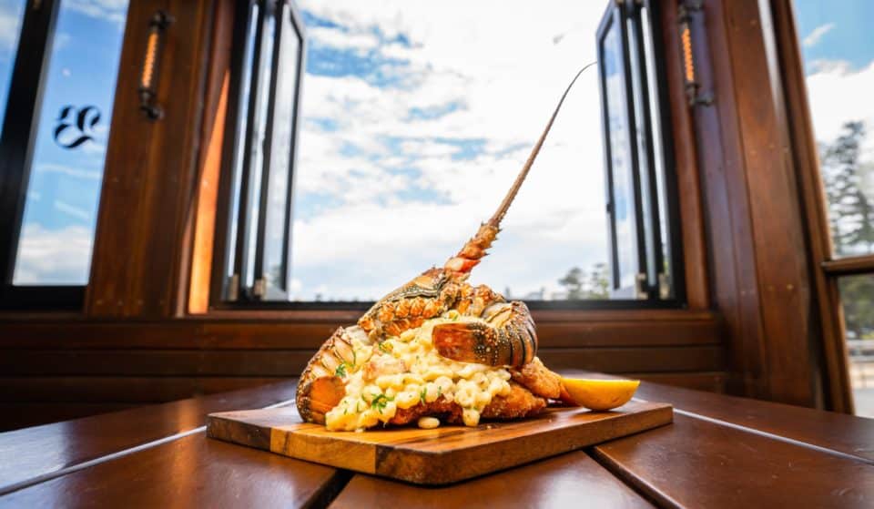 The Bavarian Is Launching Some Seriously Stacked And OTT Schnitzels