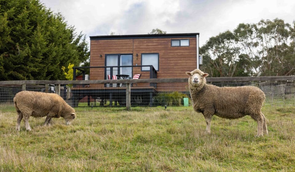 Stay Overnight In One Of The Idyllic Tiny Houses By Animal Sanctuary Edgar’s Mission