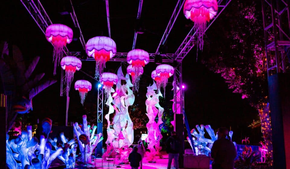 Wander An Electric Kingdom Filled With Glowing Animal Installations This September