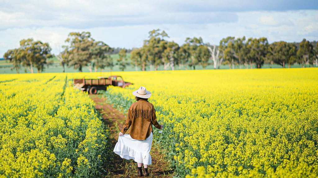 woman walking along trail surrounded by yellow flowers on the Cornella Canola Walk