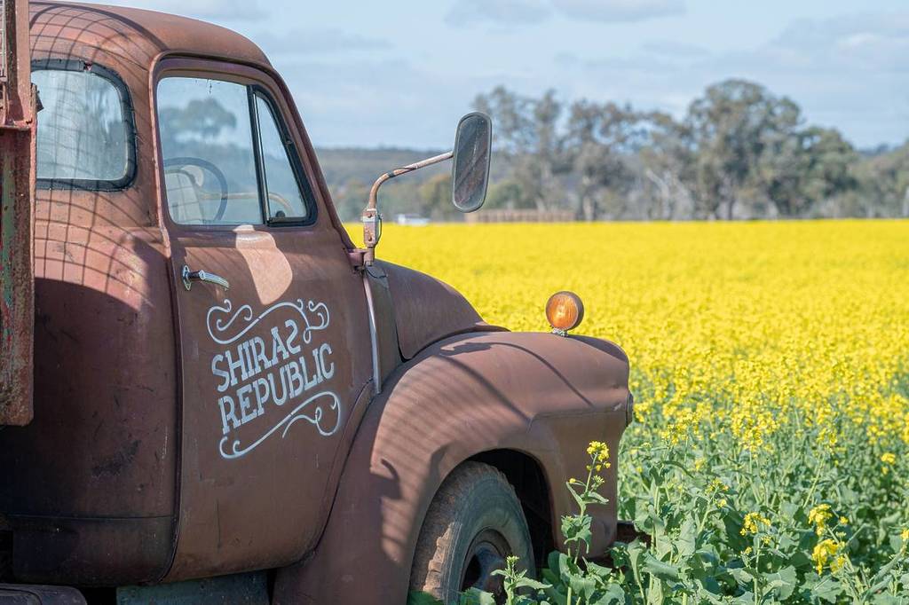 front of a truck that says 'Shiraz Republic' parked in a field of blooming canola