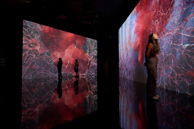 Marshmallow Laser Feast Works Of Nature at ACMI Secret Melbourne