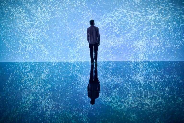 Marshmallow Laser Feast Works Of Nature at ACMI Secret Melbourne