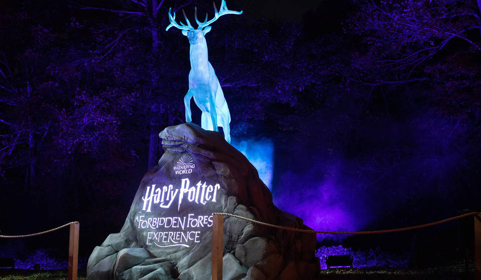 Be Enchanted At Harry Potter™: A Forbidden Forest Experience, Opening Soon At The Briars