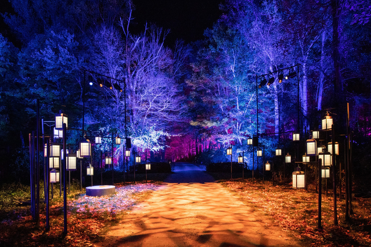 11-exciting-bucket-list-ideas-for-melbourne-locals-in-2024