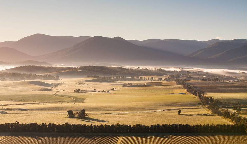 18 Wonderful Wineries To Visit In The Yarra Valley