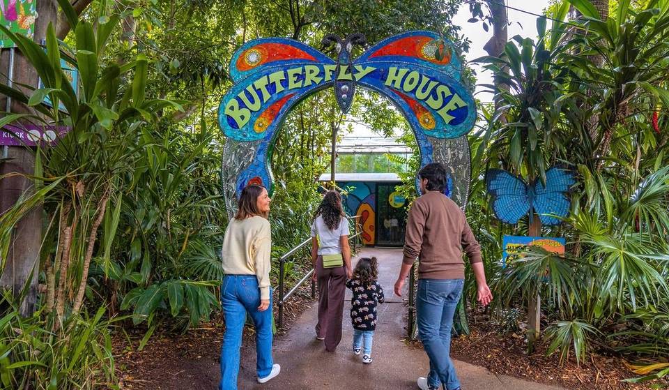 The Greatest Things To Do In Melbourne On Father’s Day
