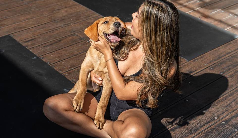 You Can Do Puppy Yoga And Meet A Dog Concierge At This City Hotel