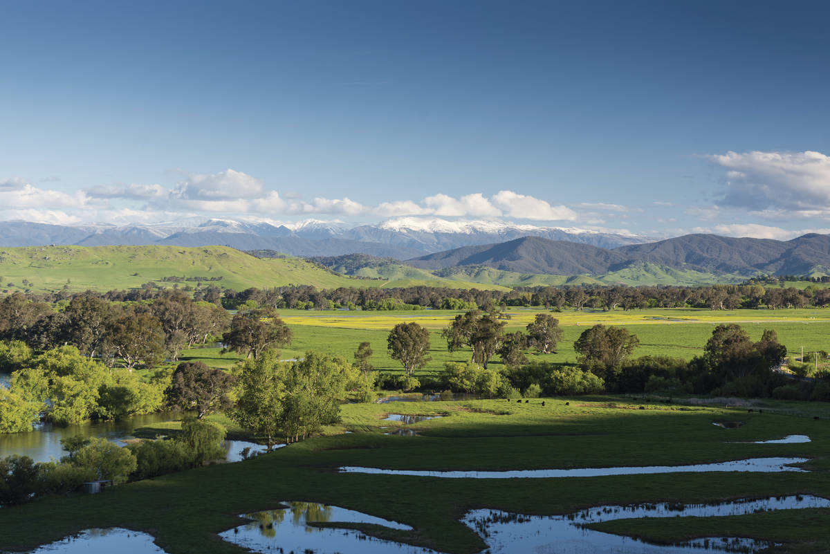 10 spectacularly scenic drives to try in Victoria