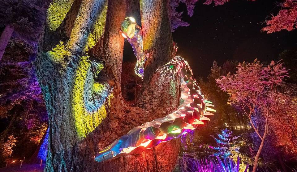 LUMA Enchanted Is A Mystical Night Walk In Queenstown Perfect For Your Winter Trip To New Zealand