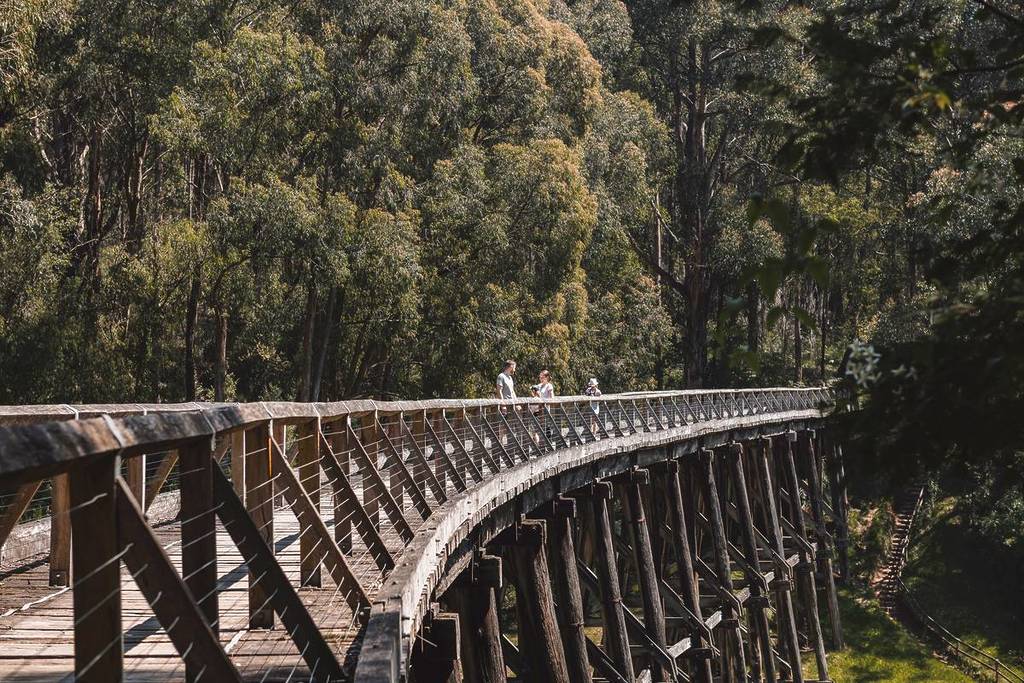 people standing on the top of Noojee Trestle Bridge