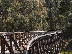 This Trestle Bridge Is The Tallest Surviving Bridge Of Its Kind In Victoria — And It&#8217;s Just Reopened To The Public