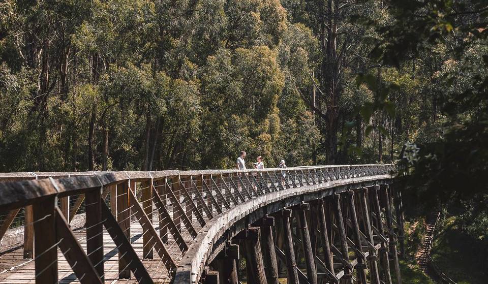 This Trestle Bridge Is The Tallest Surviving Bridge Of Its Kind In Victoria — And It&#8217;s Just Reopened To The Public