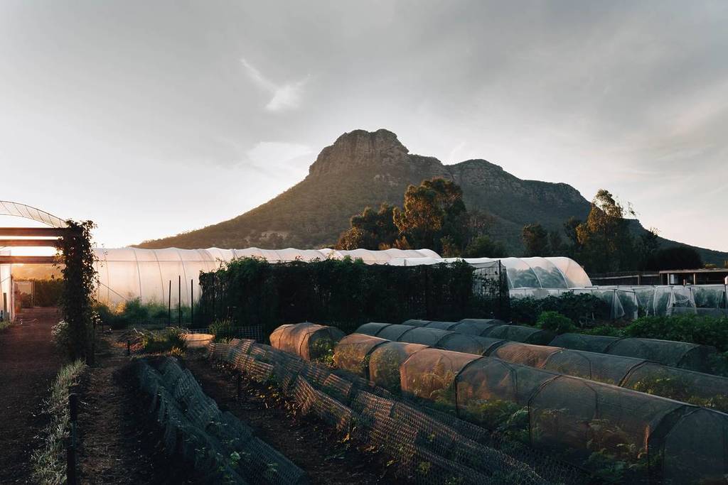 the kitchen garden of Royal Mail Hotel with a mountain in the background