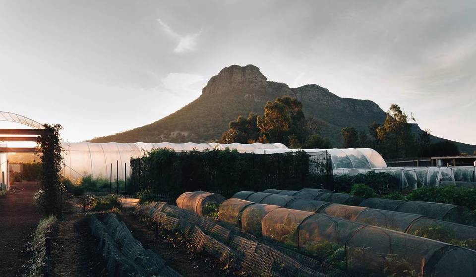 This Two-Hatted Restaurant From Regional Victoria Is Coming To A Picturesque Melbourne Venue For A Limited Winter Series