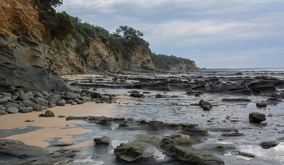 Walk In The Footsteps Of Dinosaurs At This Prehistoric Site Just Two Hours Away From Melbourne