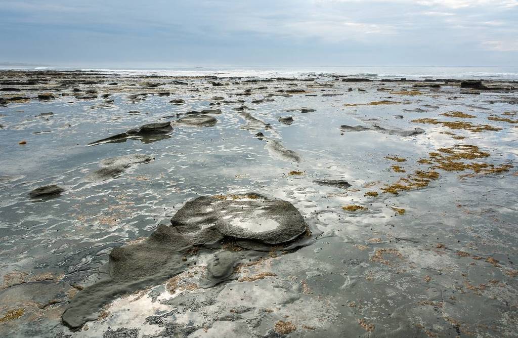 the flat rocks coastline area near Inverloch