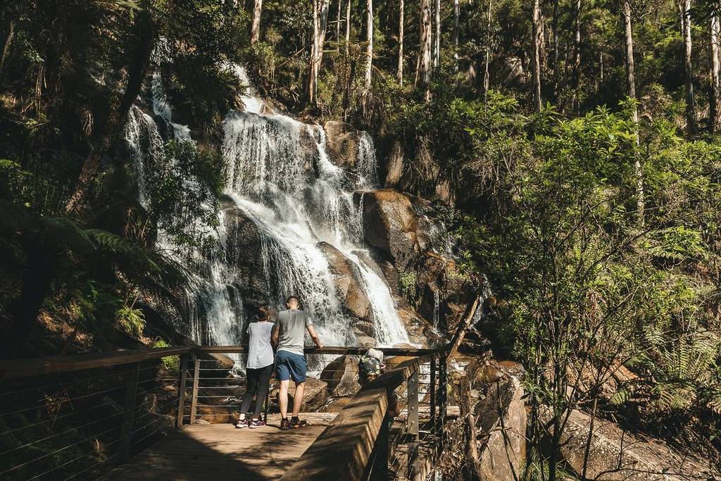two people on a viewing platform looking at Toorongo Falls
