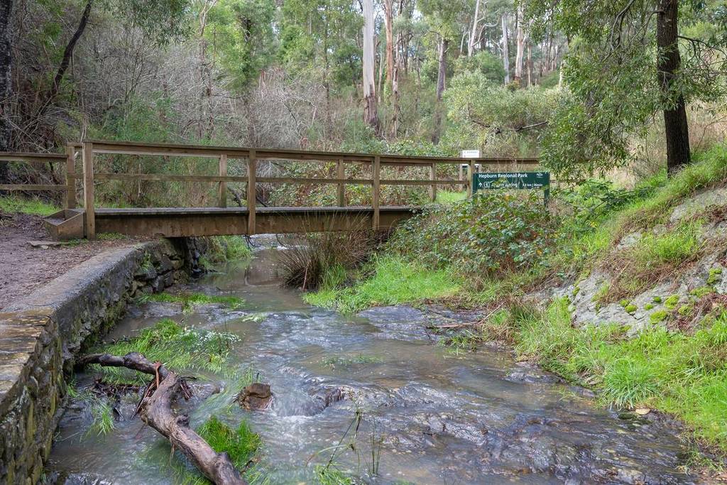a stream flowing in Hepburn Springs, an area in Victoria with lots of mineral springs