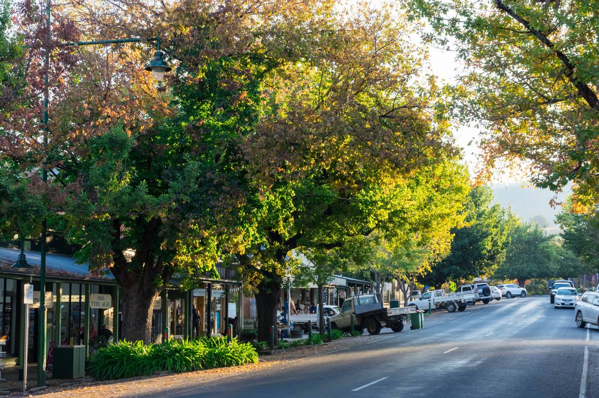 Heritage shops and parked cars along a leafy street in Yackandandah