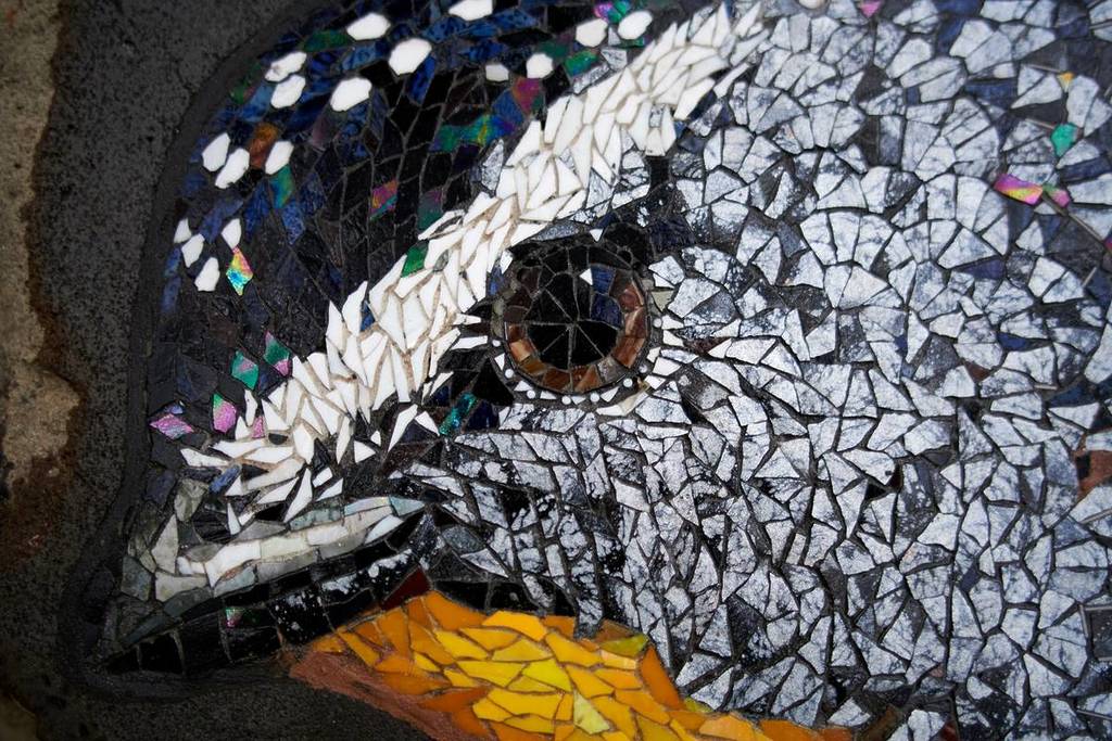 close of up a bird artwork as part of The Reveal