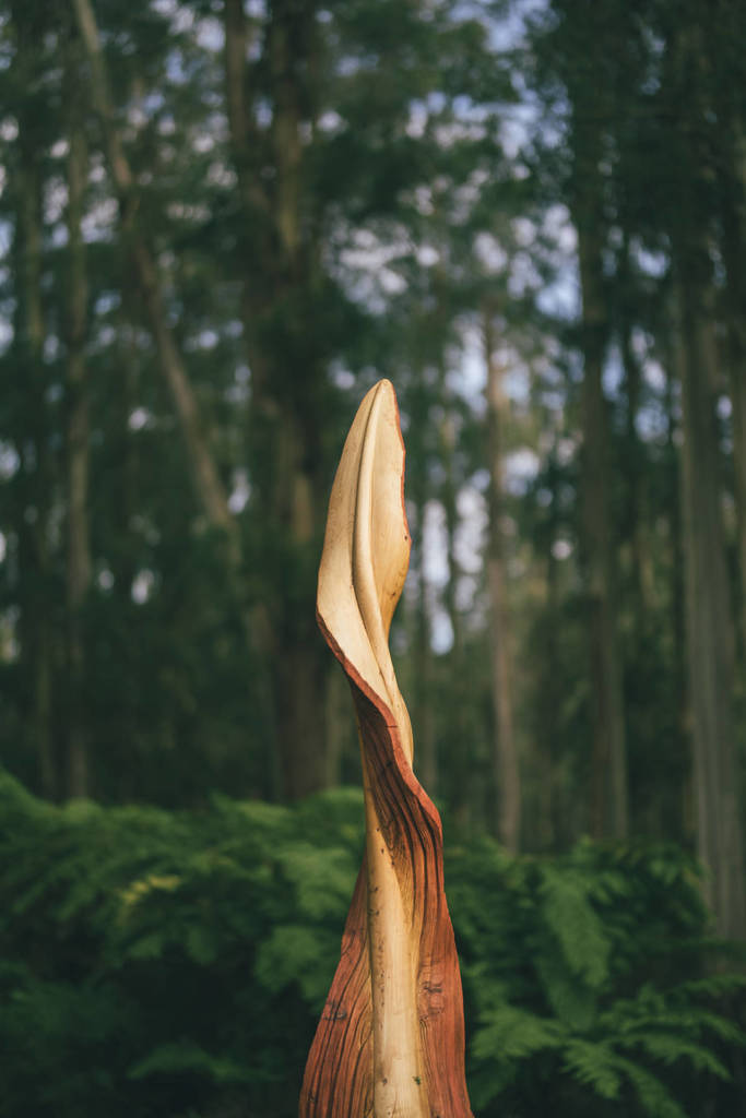 storm leaves wooden sculpture in the Dandenong Ranges