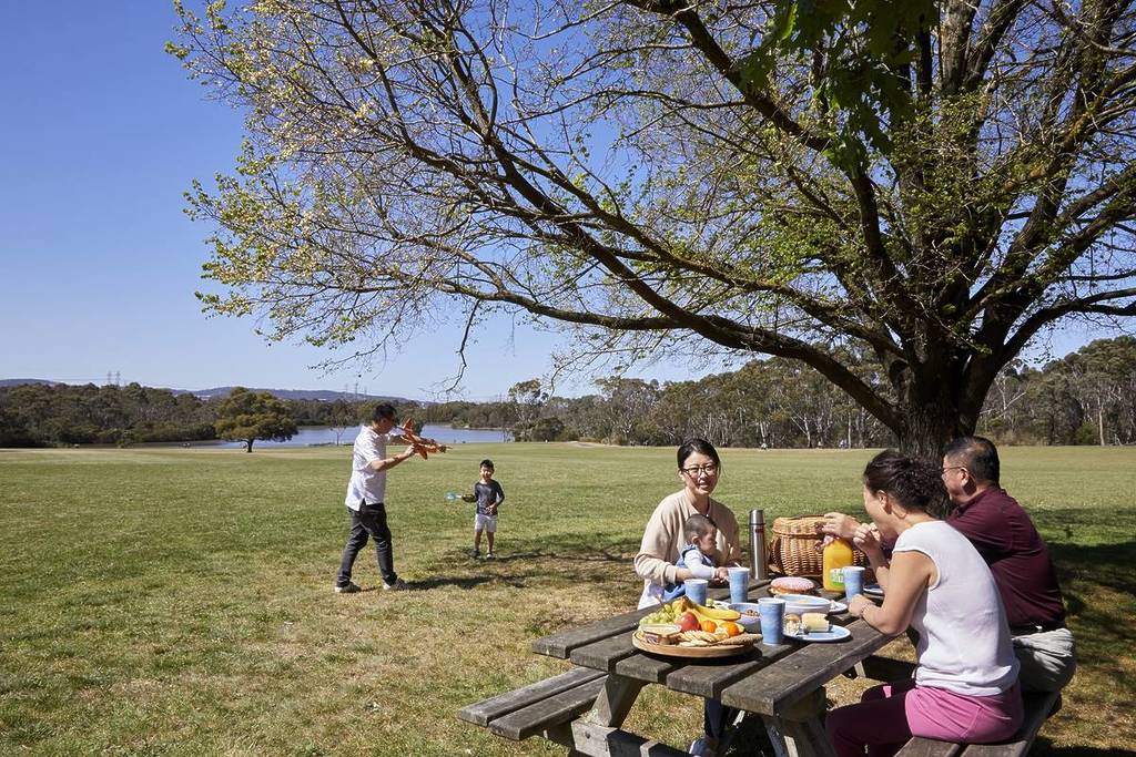 family having a picnic and playing in a green field at Jells Park