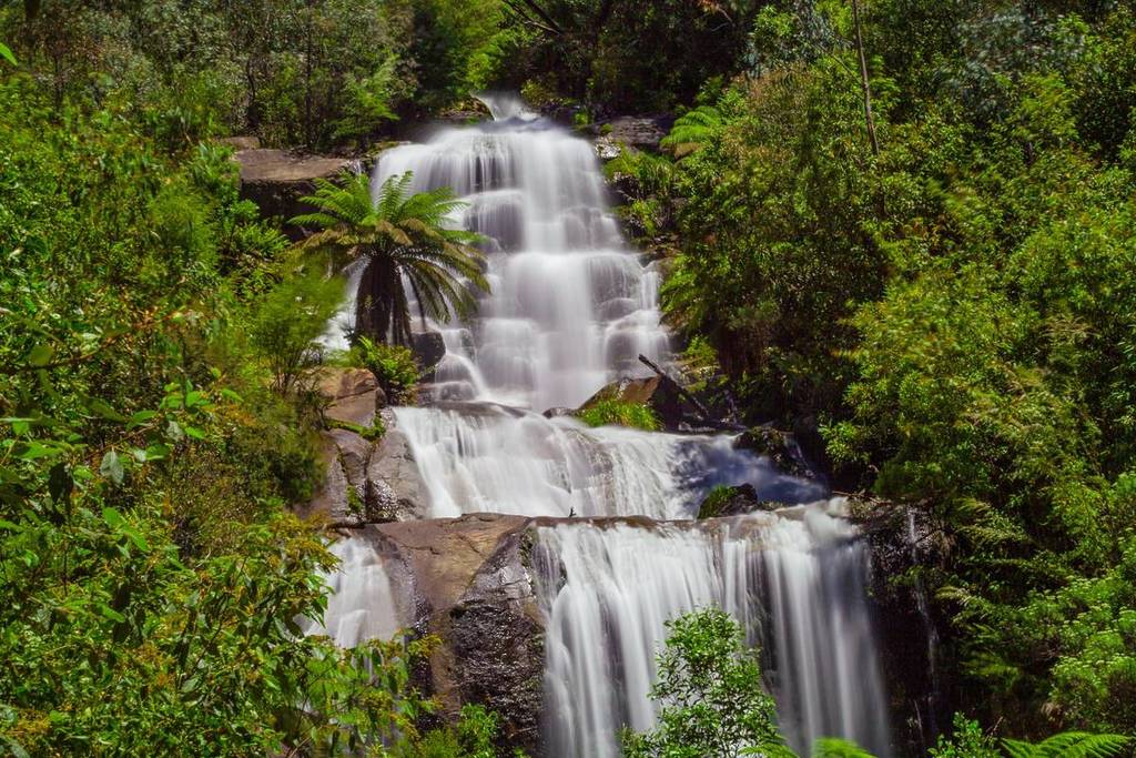 Fainter Falls surrounded by greenery