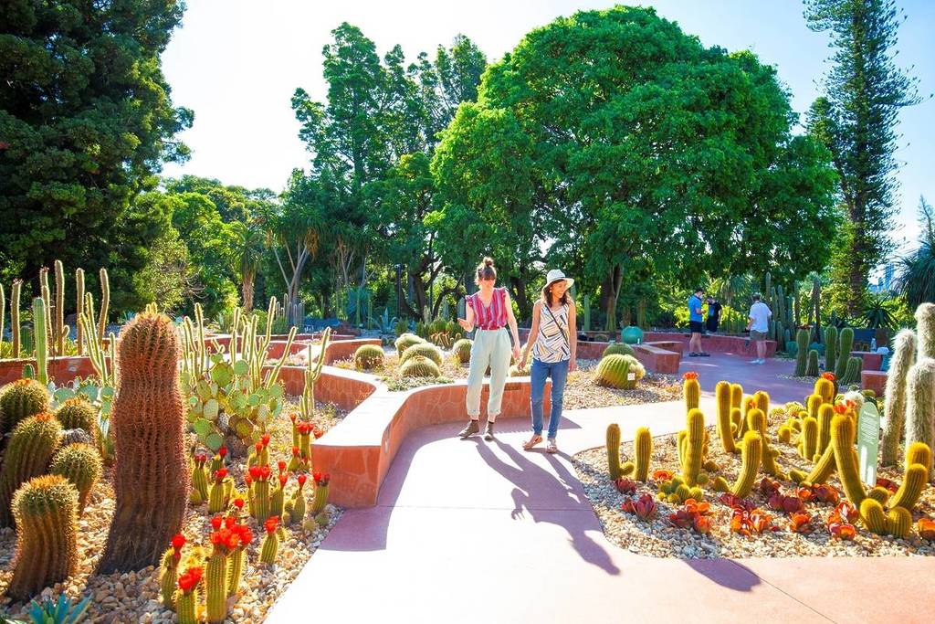two women walking through cactus area at Royal Botanic Gardens