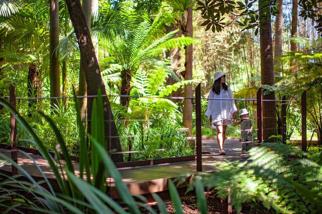 woman walking on path through forest area at Royal Botanic Gardens