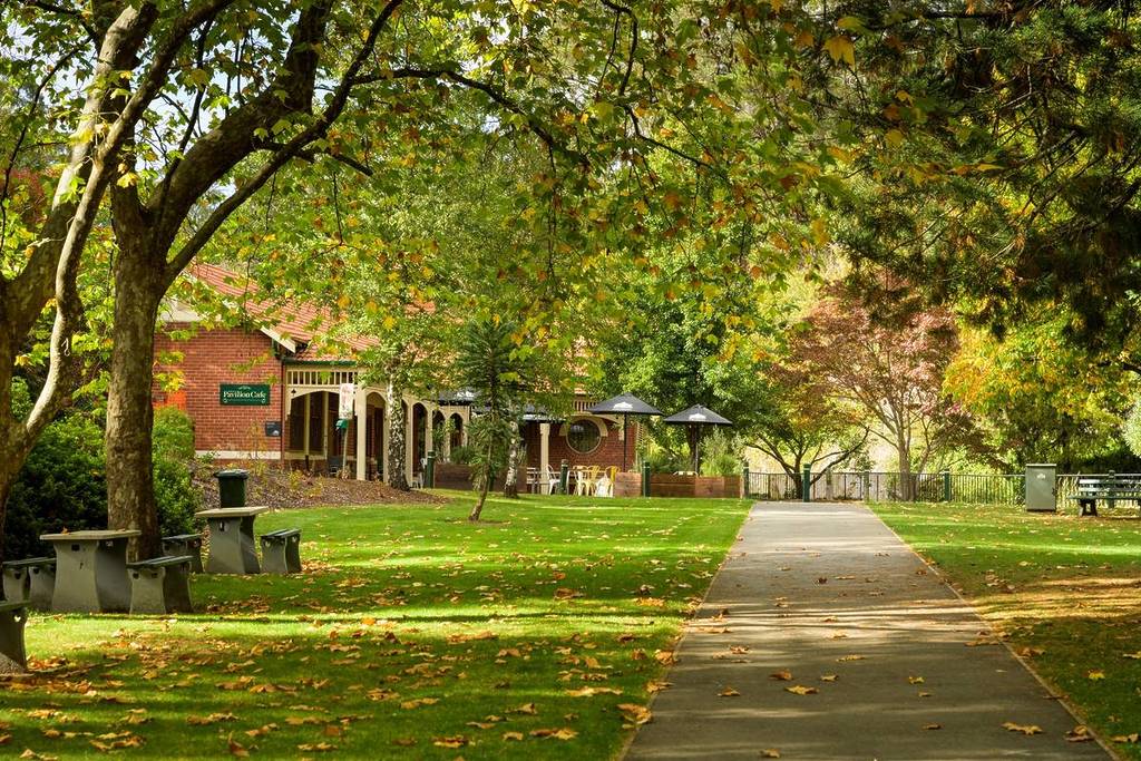 path to the Pavilion Cafe with plenty of leafy trees