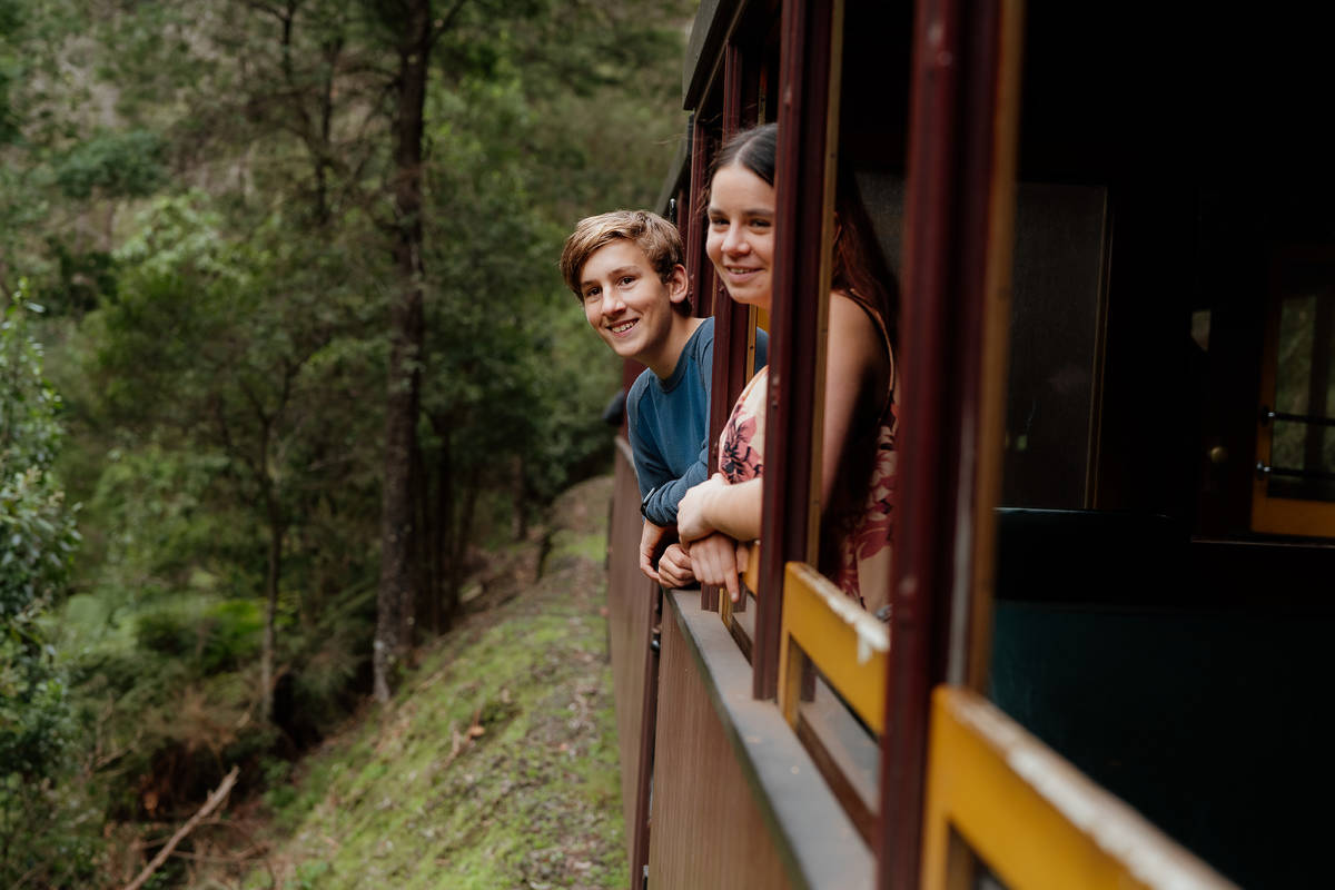 Two passengers leaning out of the window of the Walhalla Goldfields Railway as it travels through a forested area