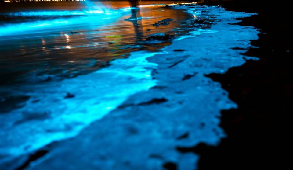 The Water In St Kilda Beach Shimmered With Dazzling Bioluminescence Recently