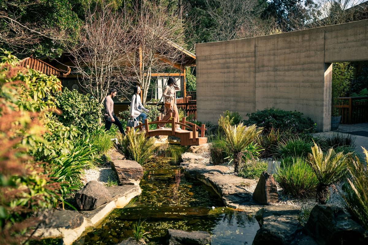 Visitors crossing a wooden bridge in a lush garden in Olinda with lush greenery