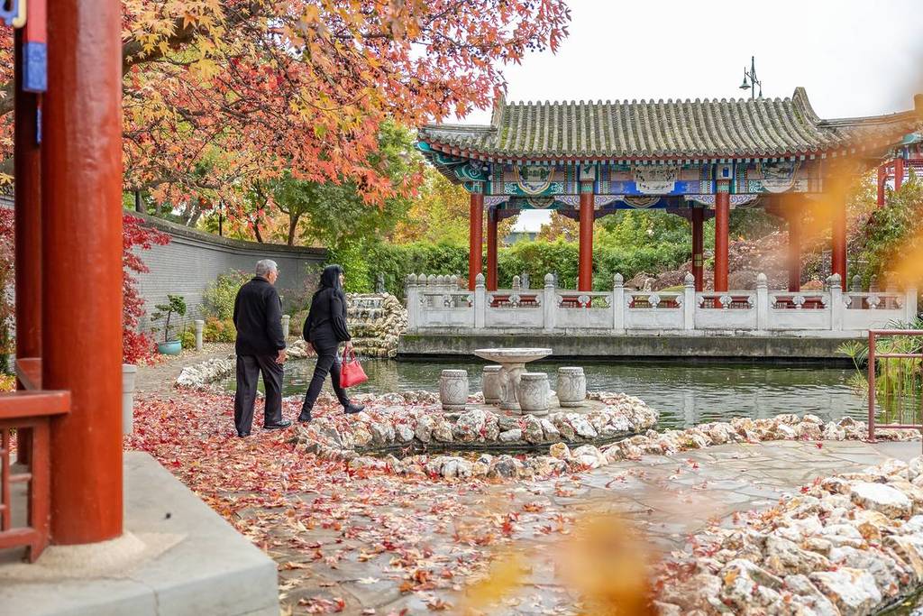 people walking through gardens at Golden Dragon Museum in autumn