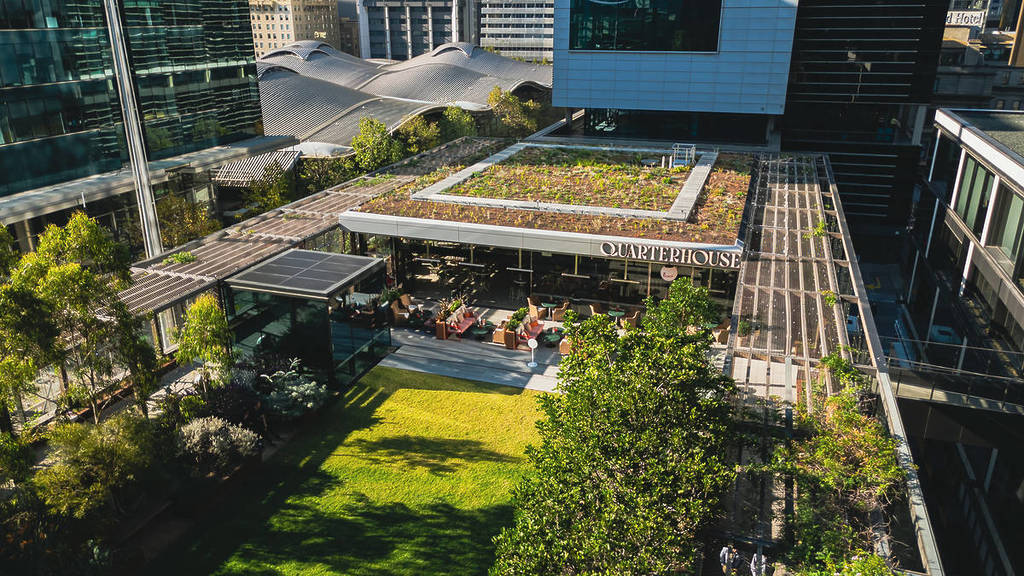 rooftop and greenery at Quarterhouse