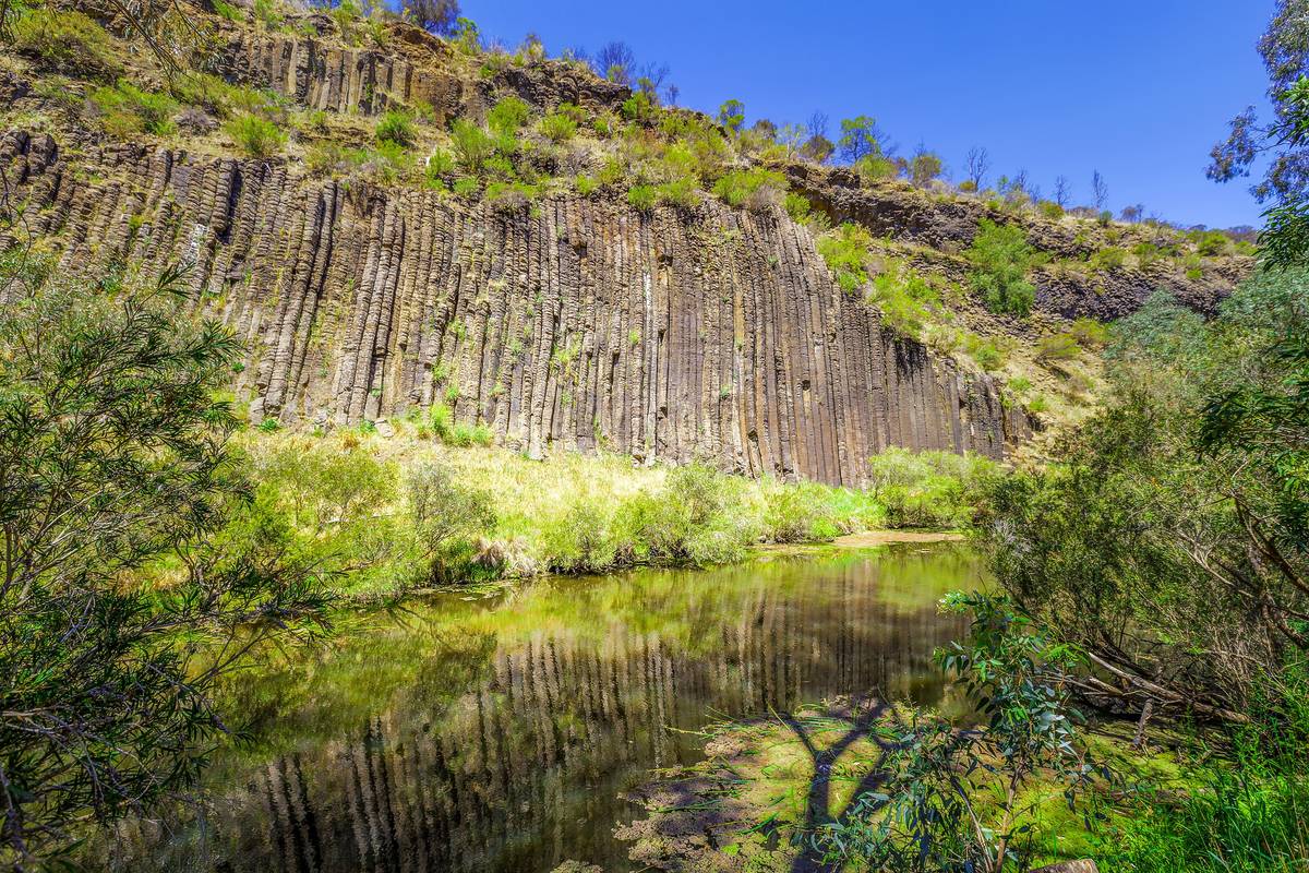 The dramatic basalt columns of Organ Pipes National Park, creating a striking natural formation - one of Victoria's most unique natural wonders