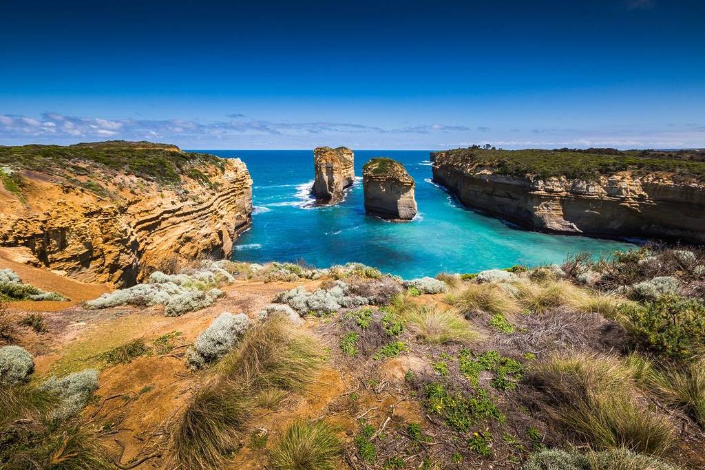 A scenic view of a pristine coastline in Apollo Bay in summer with rolling waves, sandy shores, and dense rainforests