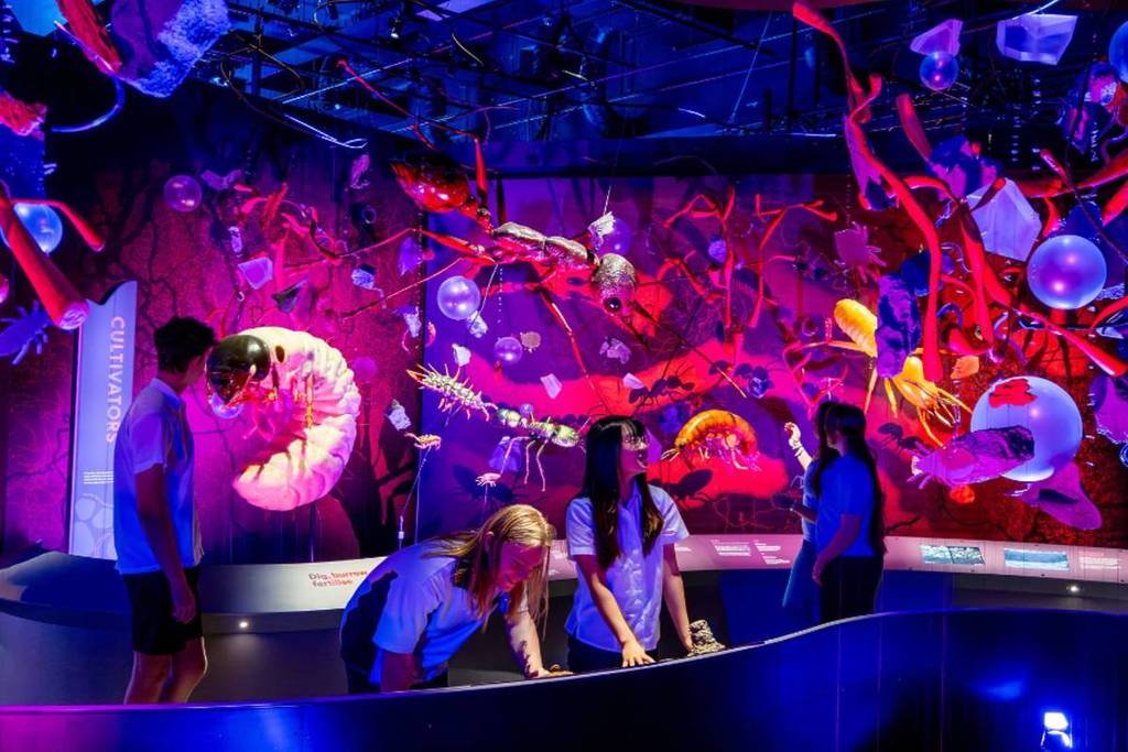 people exploring Our Wondrous Planet exhibit at Melbourne Museum