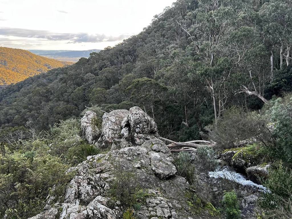 a view of the top of a small waterfall and native trees in mount samaria state park