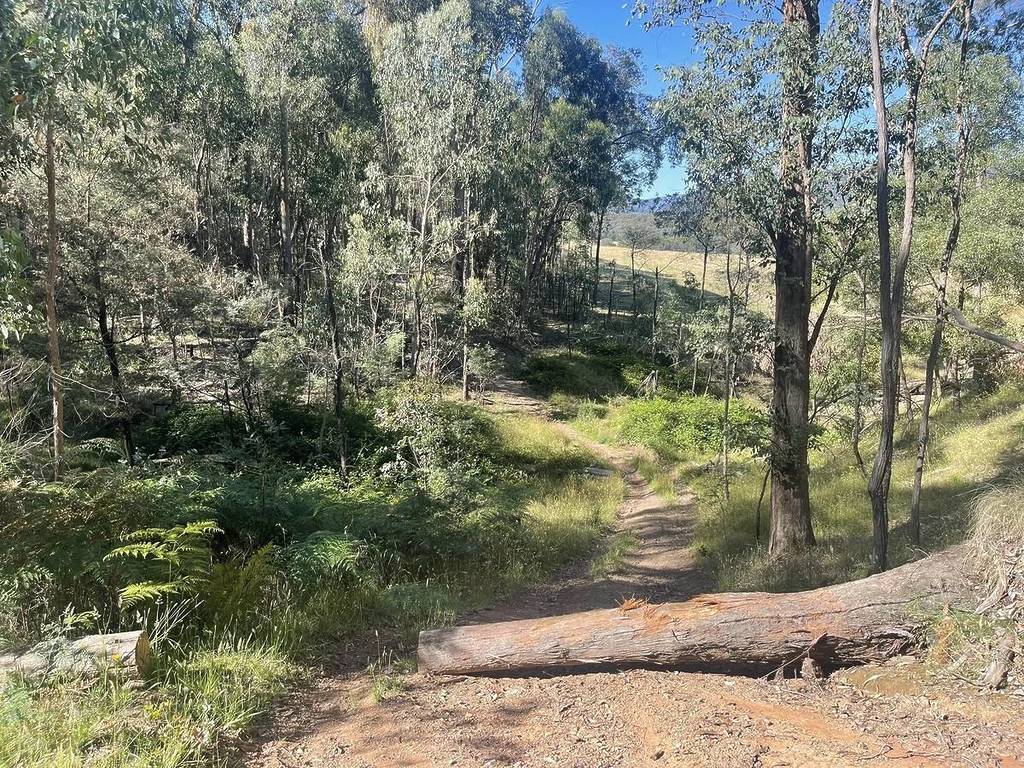 walking trail through native bushland on a sunny day
