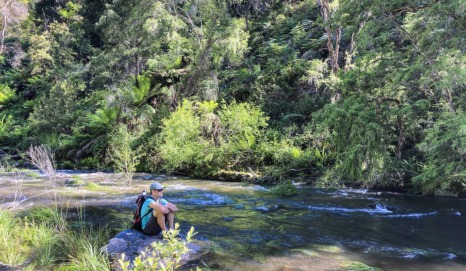 This Refreshing Alpine Trail Leads To A Hidden Gorge That You Can Swim To In Summer