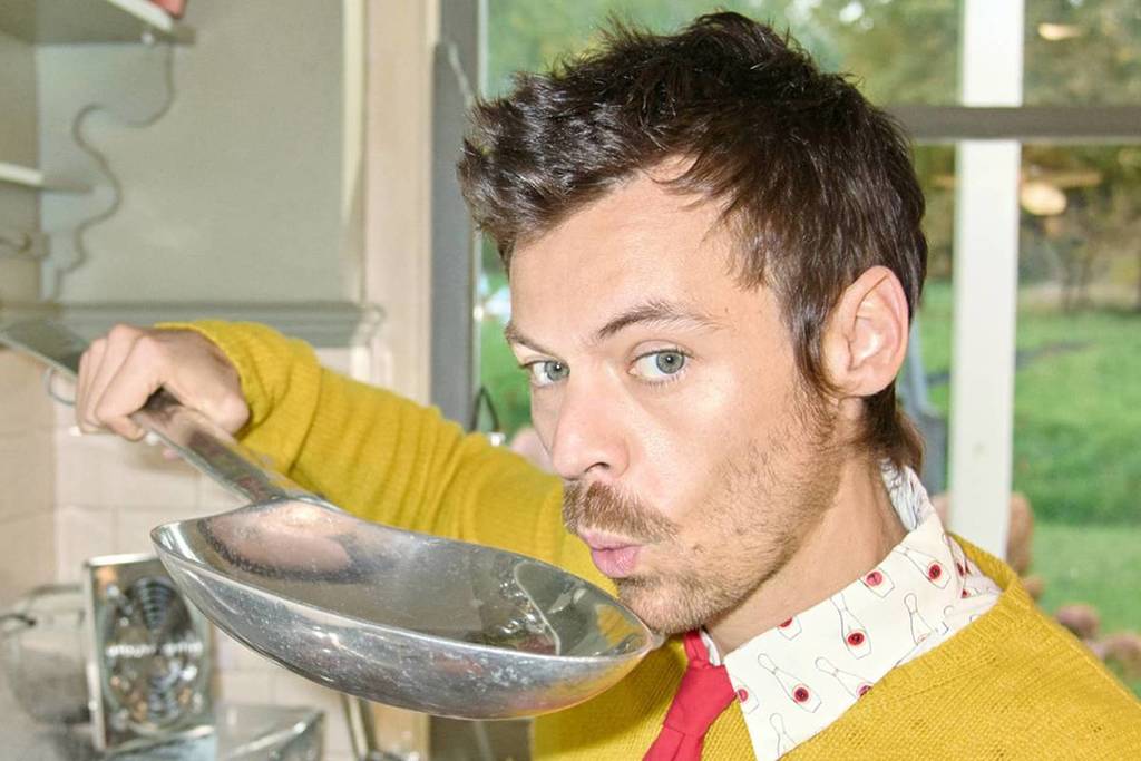 Harry Styles holding a metallic cooking pan near his face